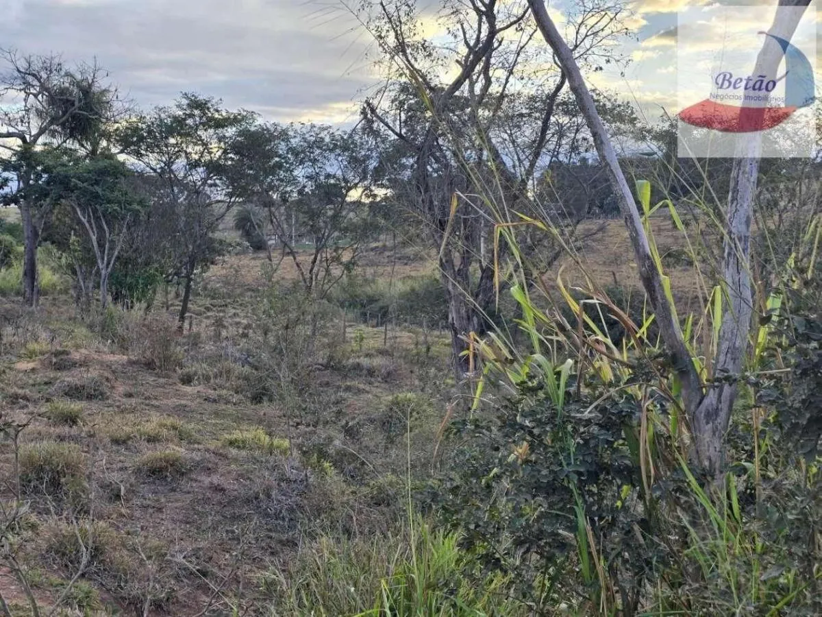 Small farm for sale of 12 acres in Vargem Grande do Sul, SP, Brazil