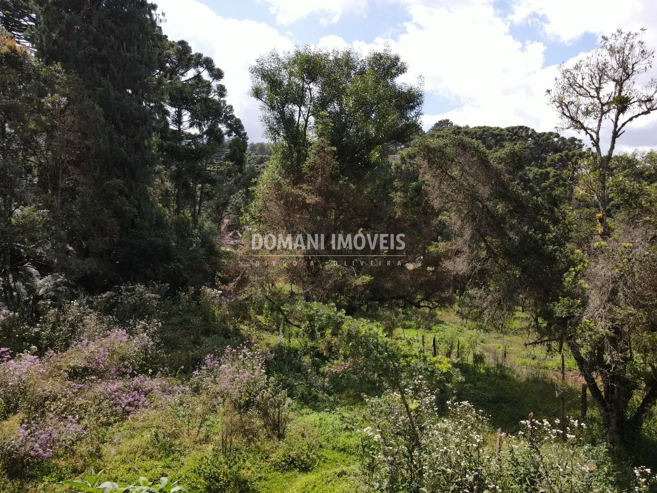 Plot for sale of 1,250 m² in Campos do Jordão, SP, Brazil
