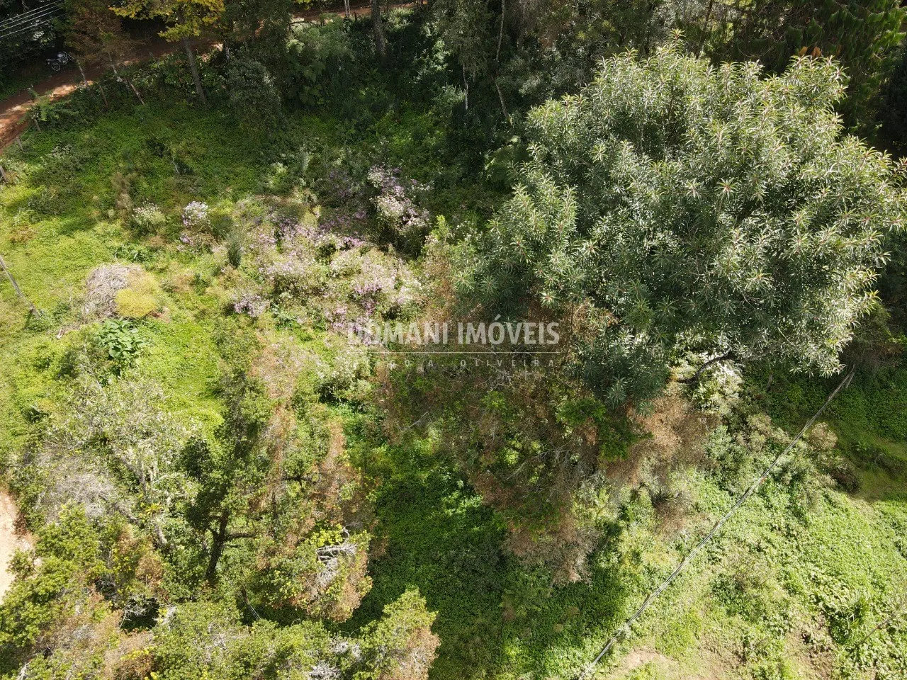 Plot for sale of 1,250 m² in Campos do Jordão, SP, Brazil