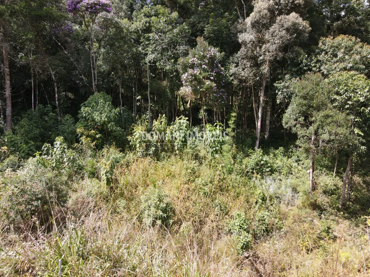 Plot for sale of 1,250 m² in Campos do Jordão, SP, Brazil