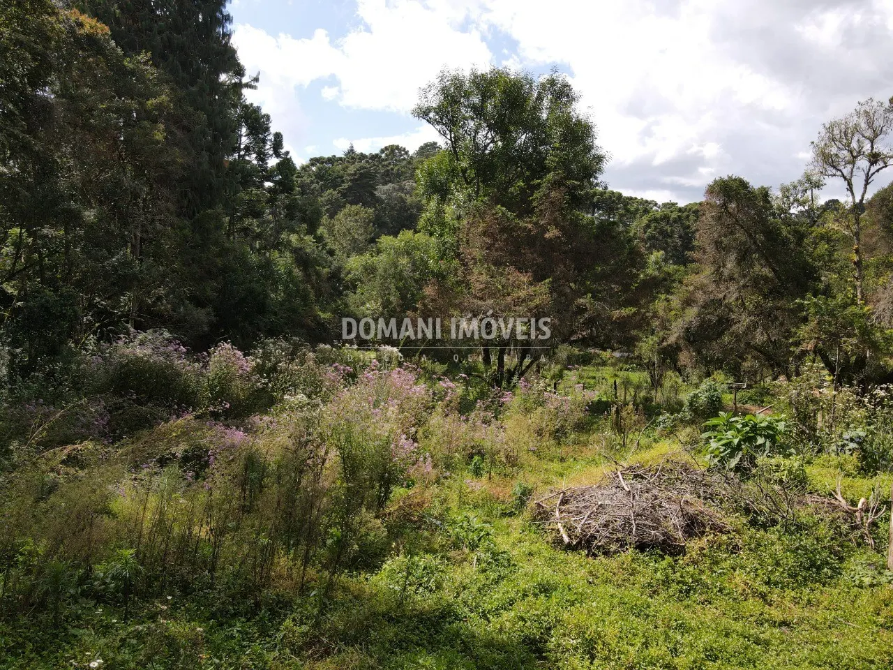 Plot for sale of 1,250 m² in Campos do Jordão, SP, Brazil