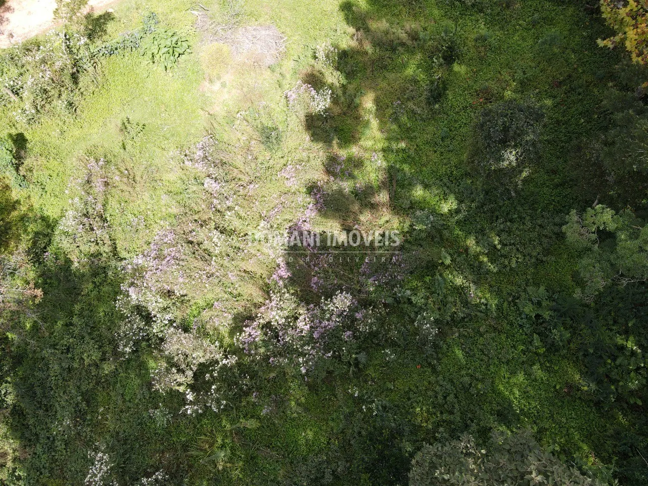 Plot for sale of 1,250 m² in Campos do Jordão, SP, Brazil