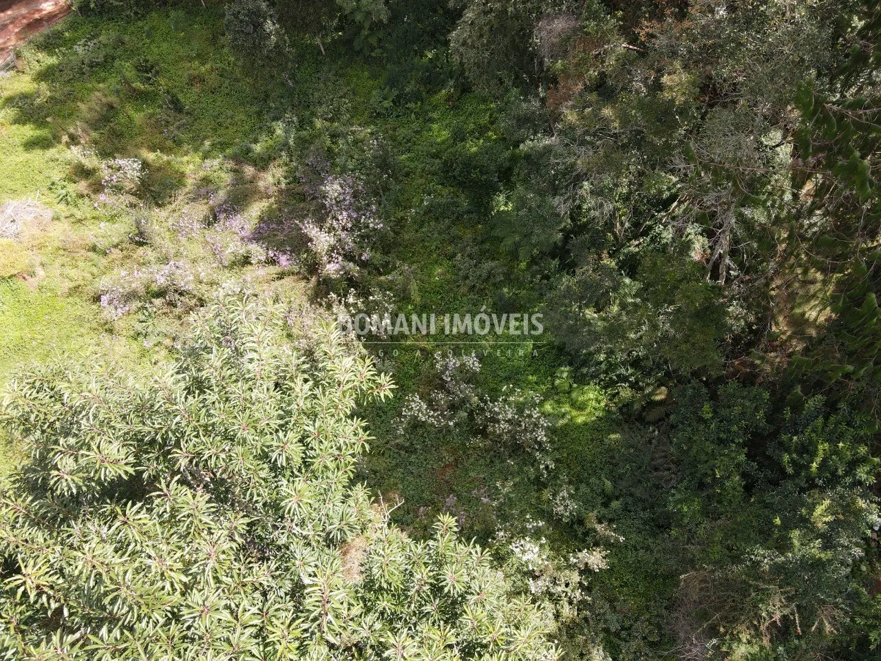 Plot for sale of 1,250 m² in Campos do Jordão, SP, Brazil