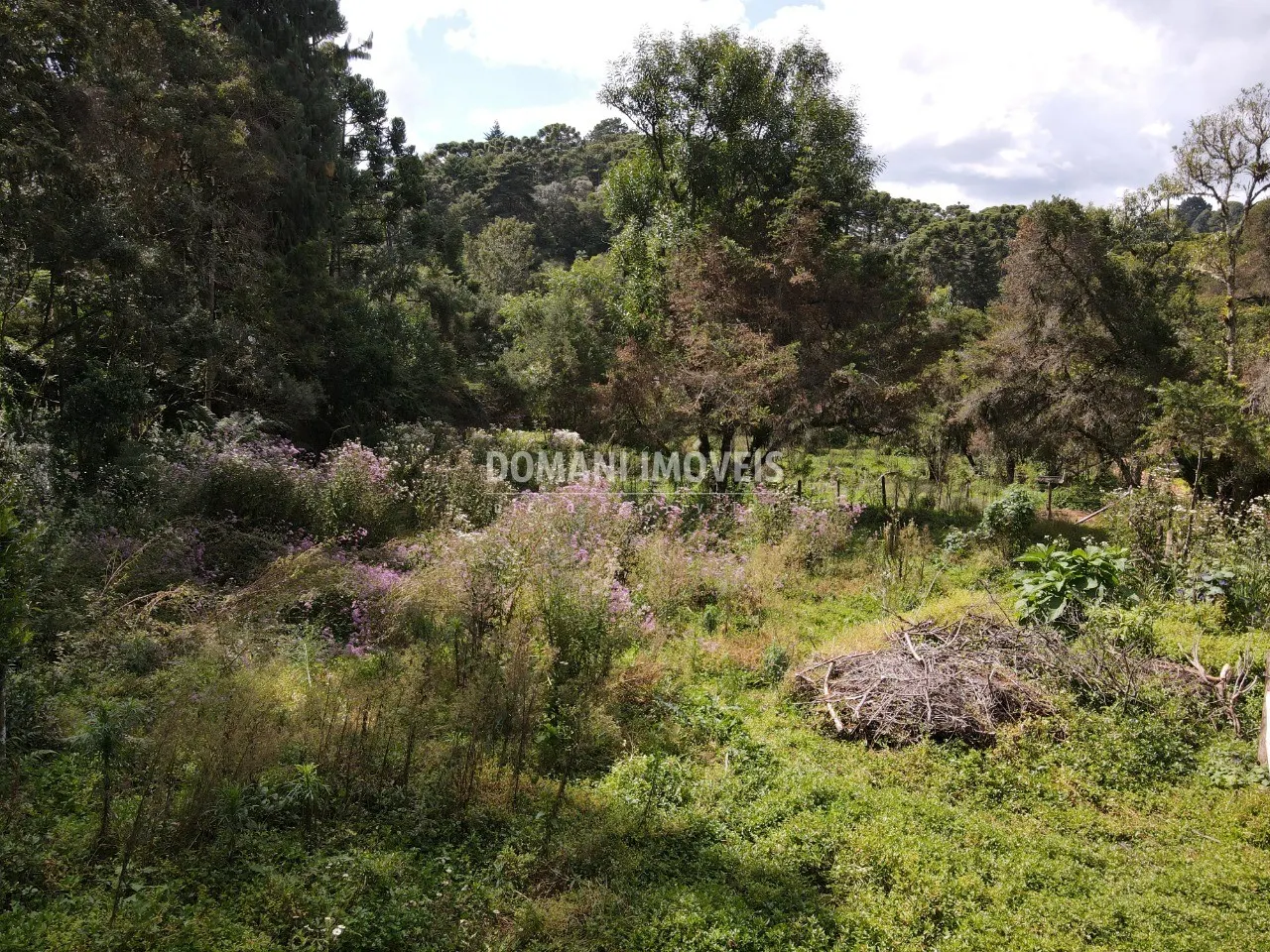 Plot for sale of 1,250 m² in Campos do Jordão, SP, Brazil