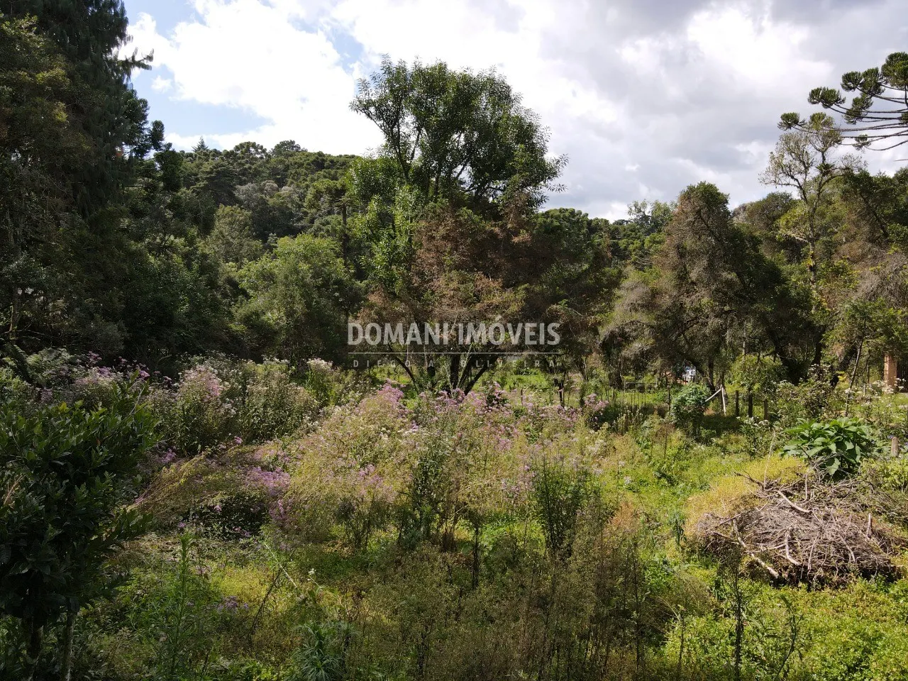 Plot for sale of 1,250 m² in Campos do Jordão, SP, Brazil
