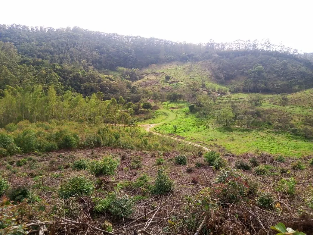 Small farm for sale of 48 acres in Paraibuna, SP, Brazil