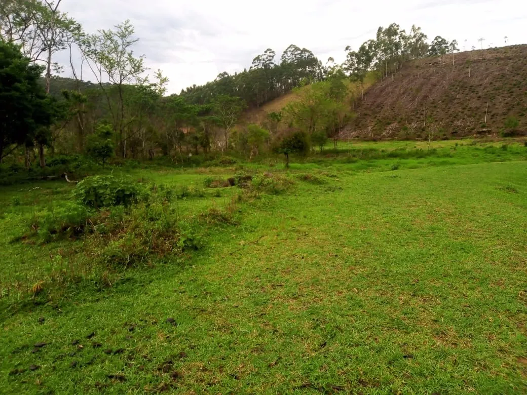 Small farm for sale of 48 acres in Paraibuna, SP, Brazil