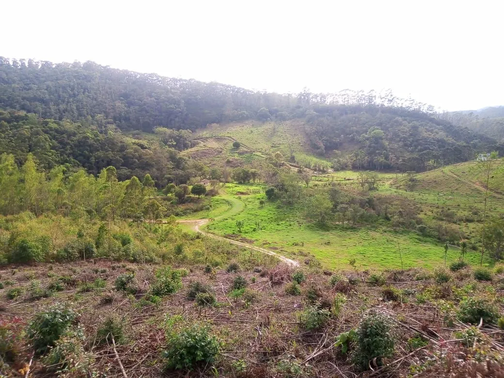 Small farm for sale of 48 acres in Paraibuna, SP, Brazil
