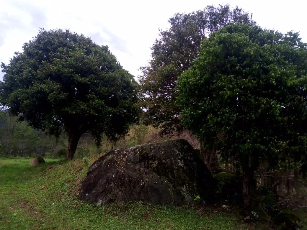 Small farm for sale of 48 acres in Paraibuna, SP, Brazil