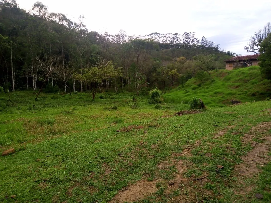 Small farm for sale of 48 acres in Paraibuna, SP, Brazil