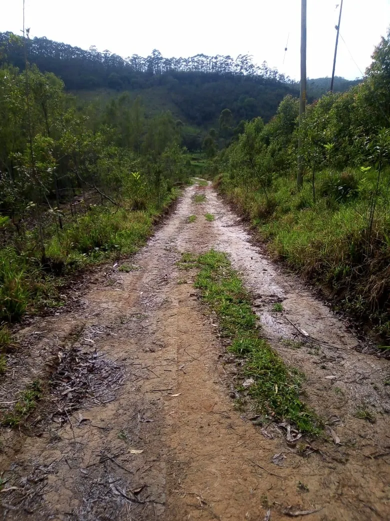 Small farm for sale of 48 acres in Paraibuna, SP, Brazil
