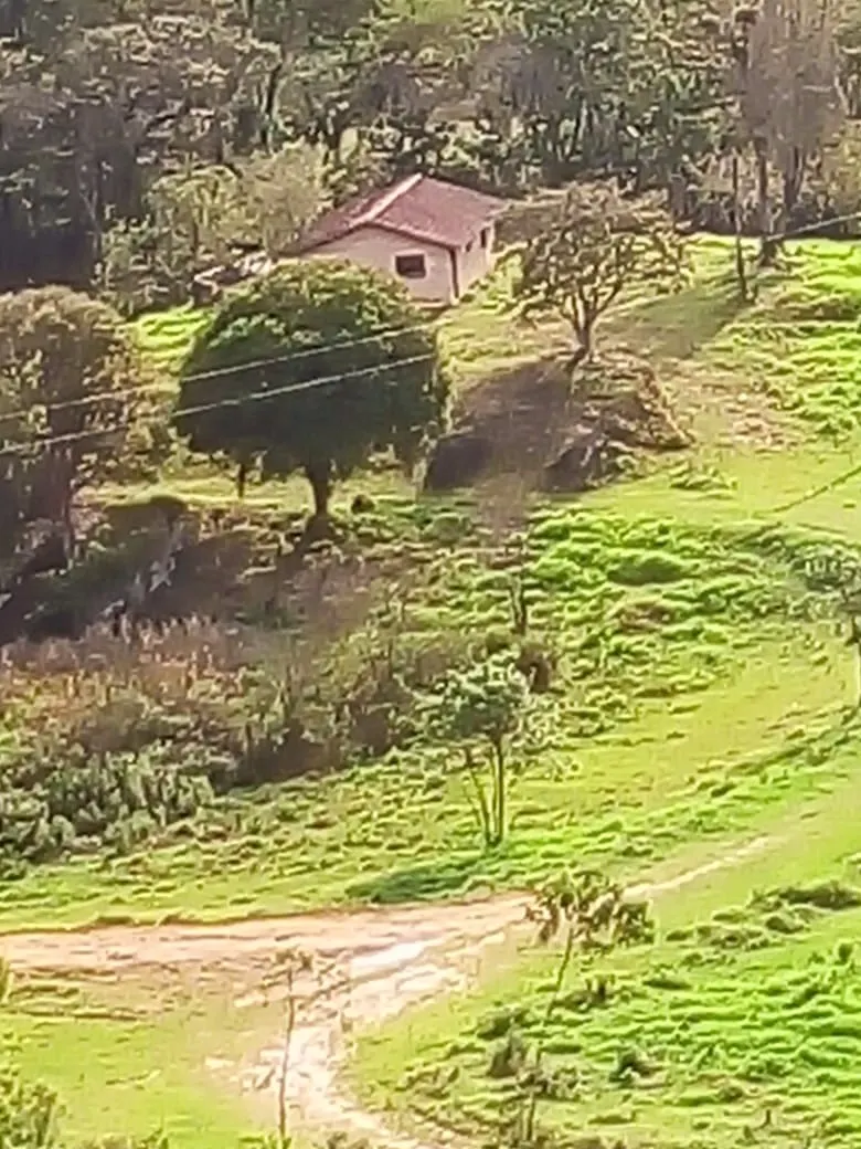 Small farm for sale of 48 acres in Paraibuna, SP, Brazil