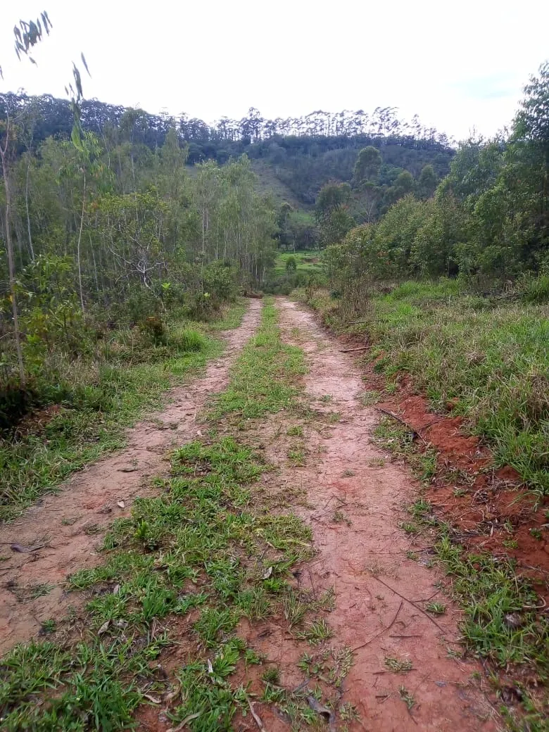 Small farm for sale of 48 acres in Paraibuna, SP, Brazil