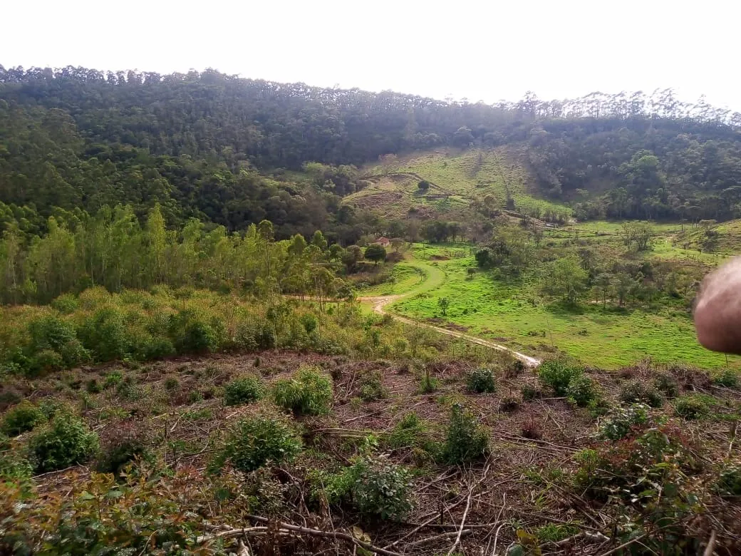 Small farm for sale of 48 acres in Paraibuna, SP, Brazil