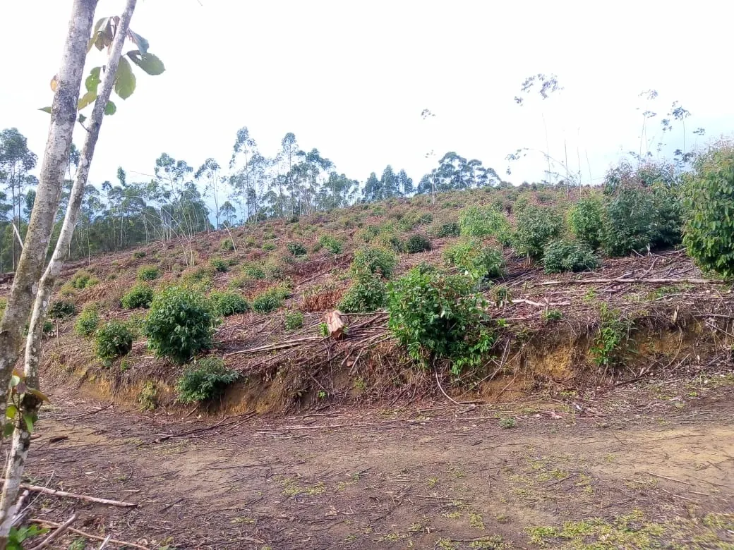 Small farm for sale of 48 acres in Paraibuna, SP, Brazil