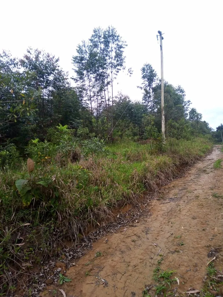 Small farm for sale of 48 acres in Paraibuna, SP, Brazil
