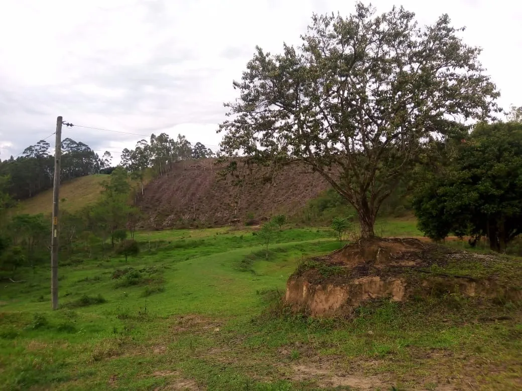Small farm for sale of 48 acres in Paraibuna, SP, Brazil