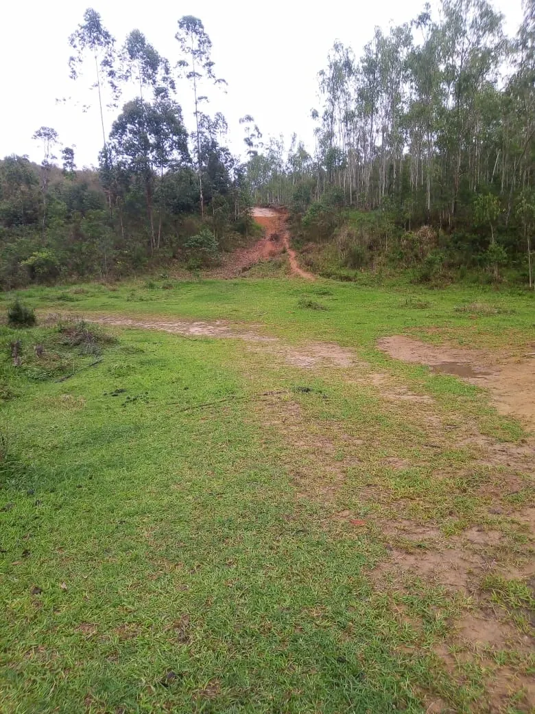 Small farm for sale of 48 acres in Paraibuna, SP, Brazil
