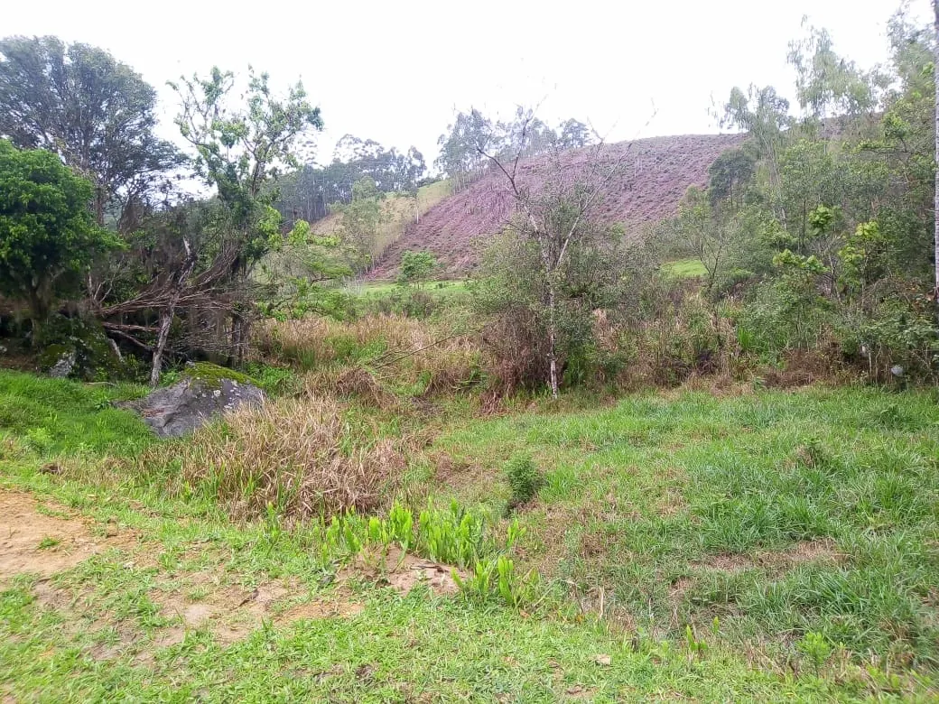 Small farm for sale of 48 acres in Paraibuna, SP, Brazil