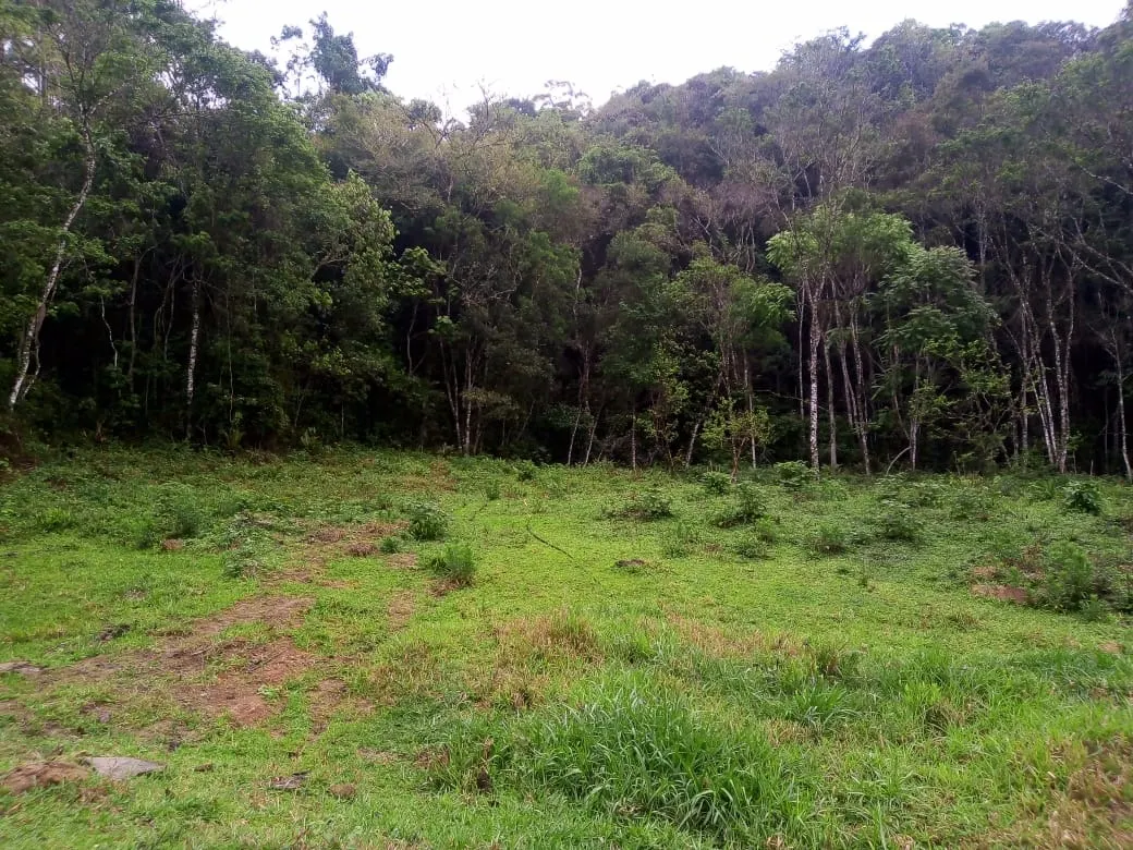 Small farm for sale of 48 acres in Paraibuna, SP, Brazil