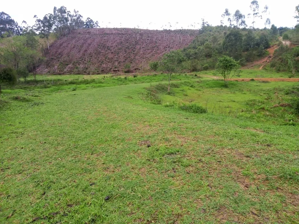 Small farm for sale of 48 acres in Paraibuna, SP, Brazil