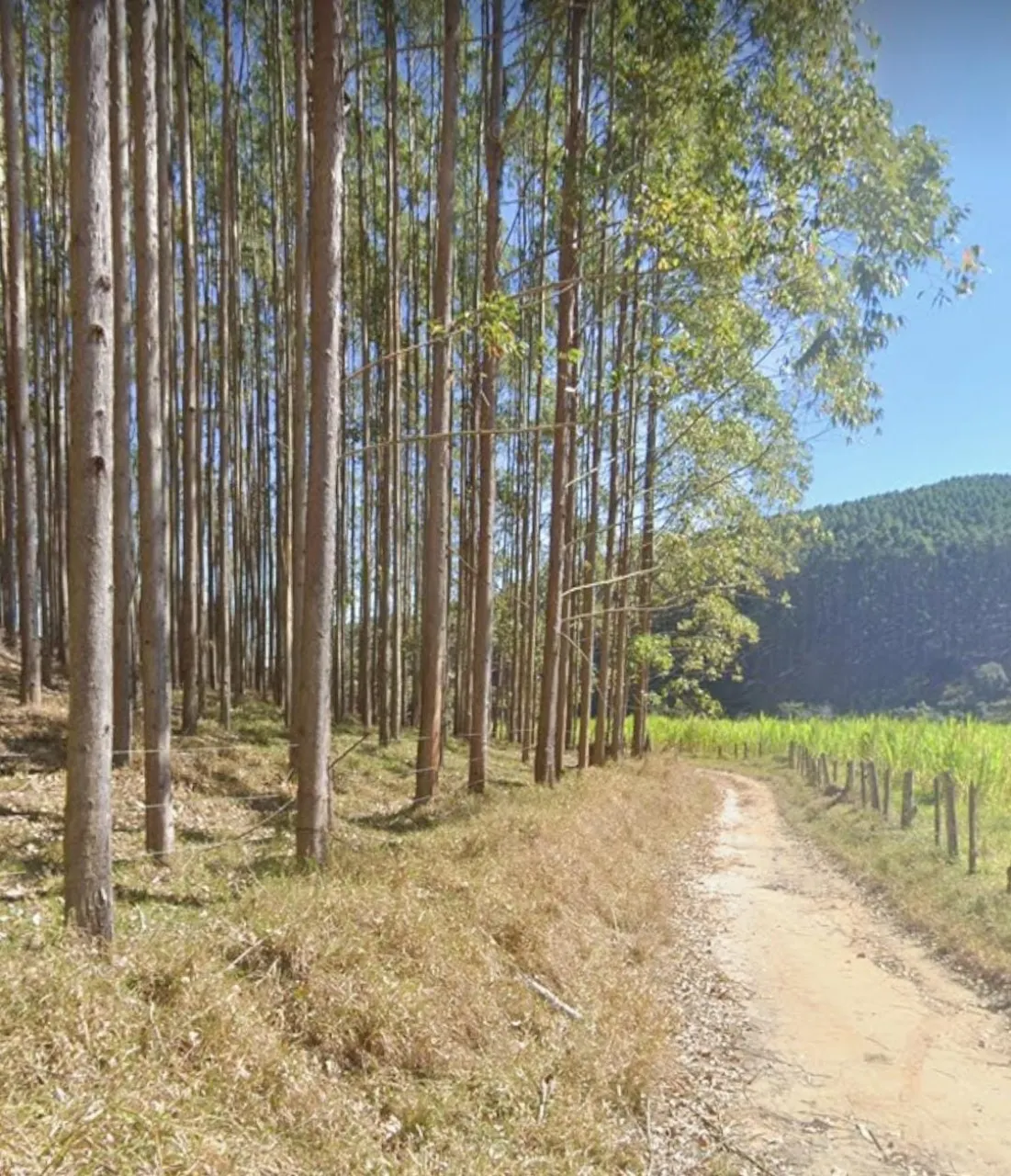 Fazenda à venda de 760 ha em Natividade, RJ, Brasil