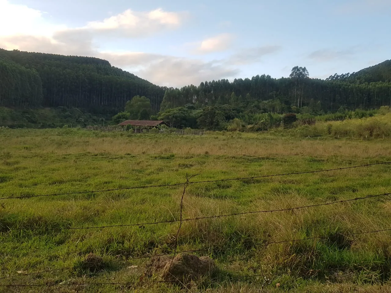 Fazenda à venda de 760 ha em Natividade, RJ, Brasil