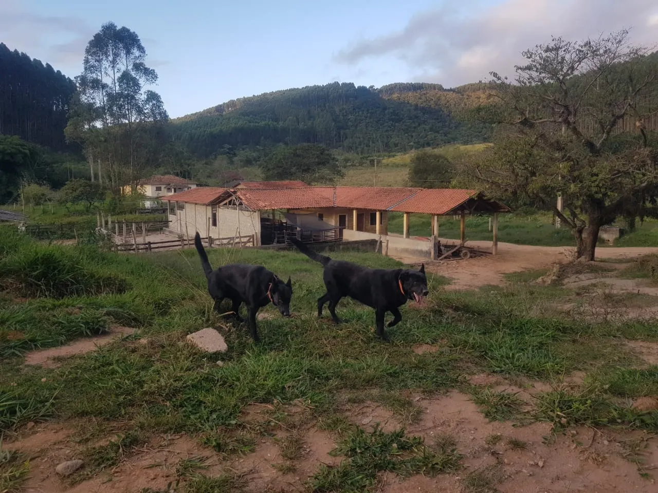 Fazenda à venda de 760 ha em Natividade, RJ, Brasil