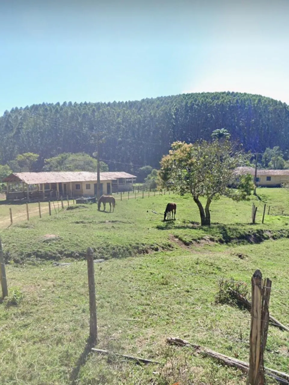 Fazenda à venda de 760 ha em Natividade, RJ, Brasil