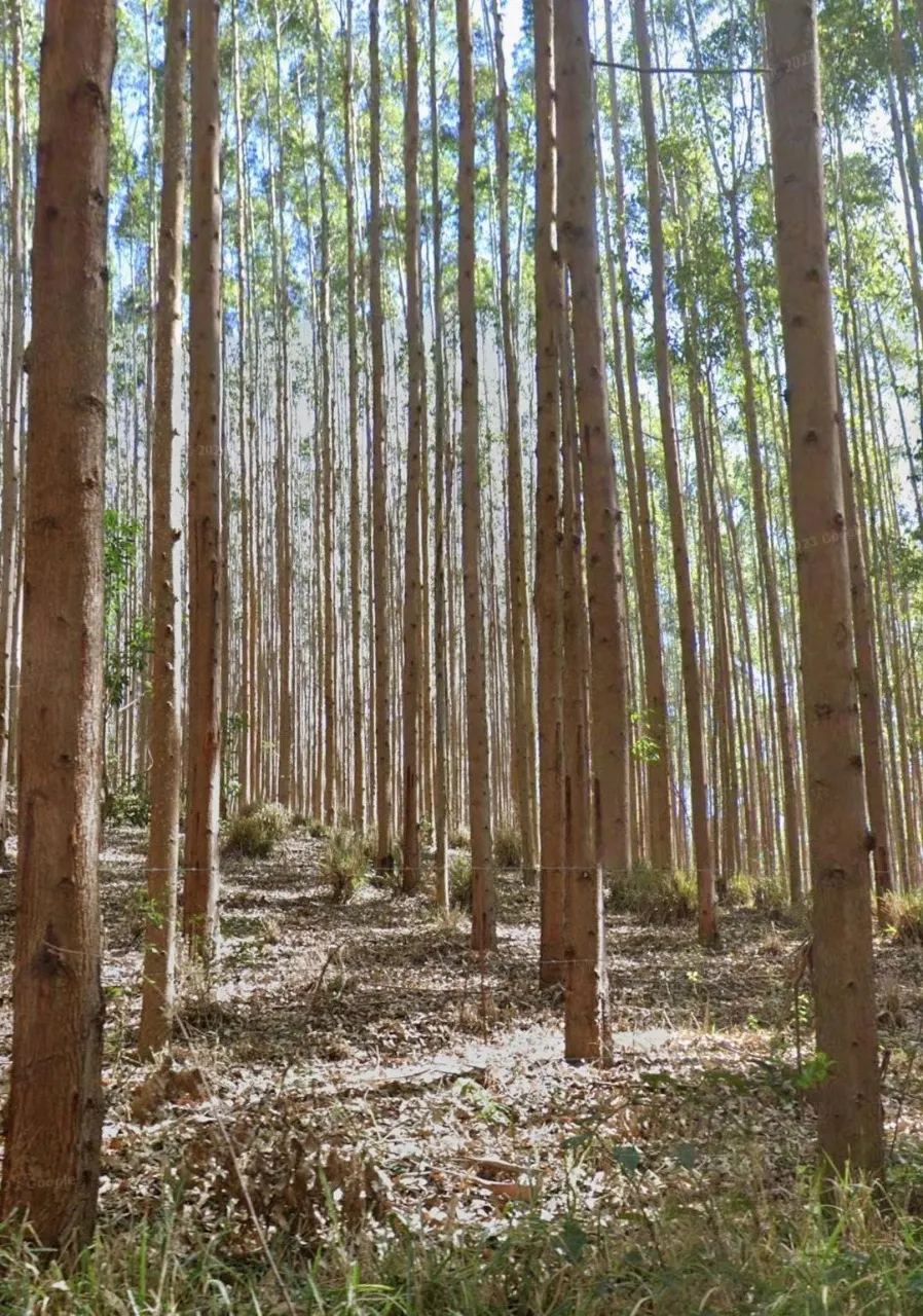 Fazenda à venda de 760 ha em Natividade, RJ, Brasil