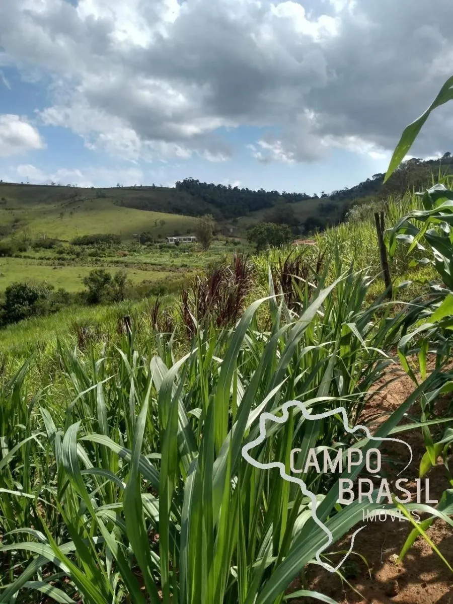 Sítio à venda de 3 ha em Paraibuna, SP, Brasil