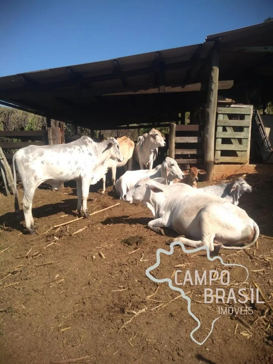 Sítio à venda de 3 ha em Paraibuna, SP, Brasil