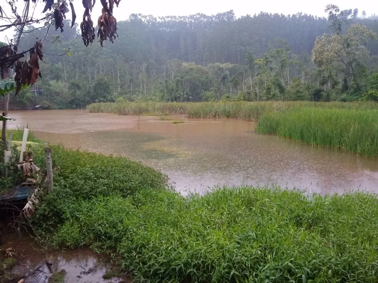 Country home for sale of 3,000 m² in Monteiro Lobato, SP, Brazil