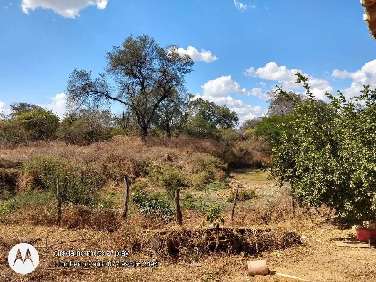Fazenda à venda de 2.010 ha em Ibotirama, BA, Brasil