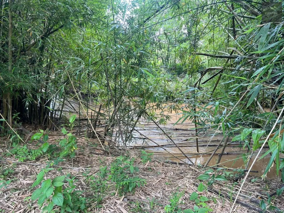 Chácara à venda de 2 ha em Socorro, SP, Brasil