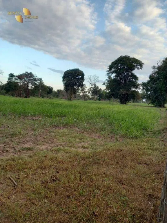 Fazenda à venda de 3.498 ha em Barra do Bugres, MT, Brasil