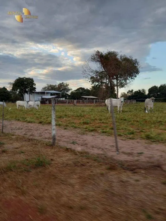 Fazenda à venda de 3.498 ha em Barra do Bugres, MT, Brasil