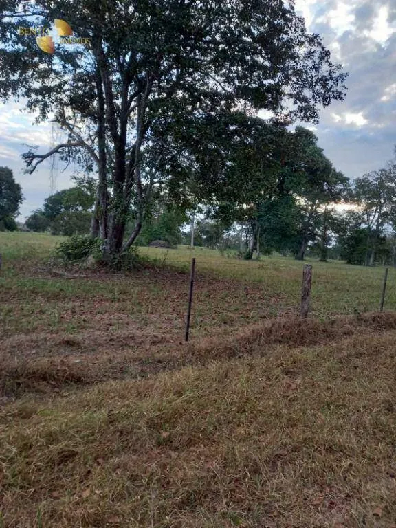 Fazenda à venda de 3.498 ha em Barra do Bugres, MT, Brasil