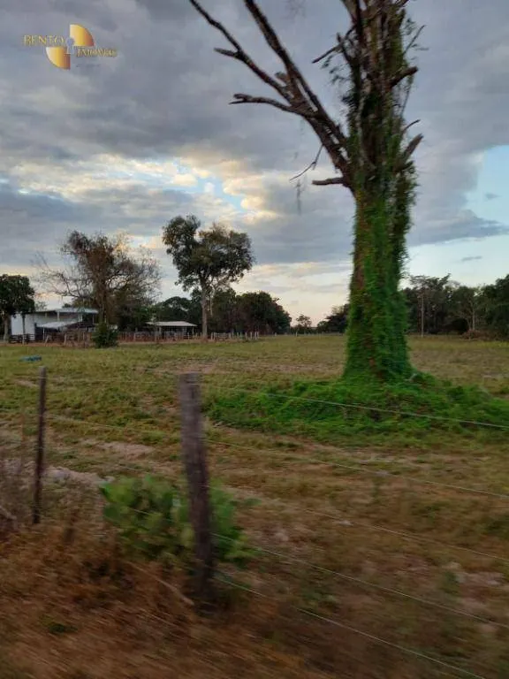 Fazenda à venda de 3.498 ha em Barra do Bugres, MT, Brasil