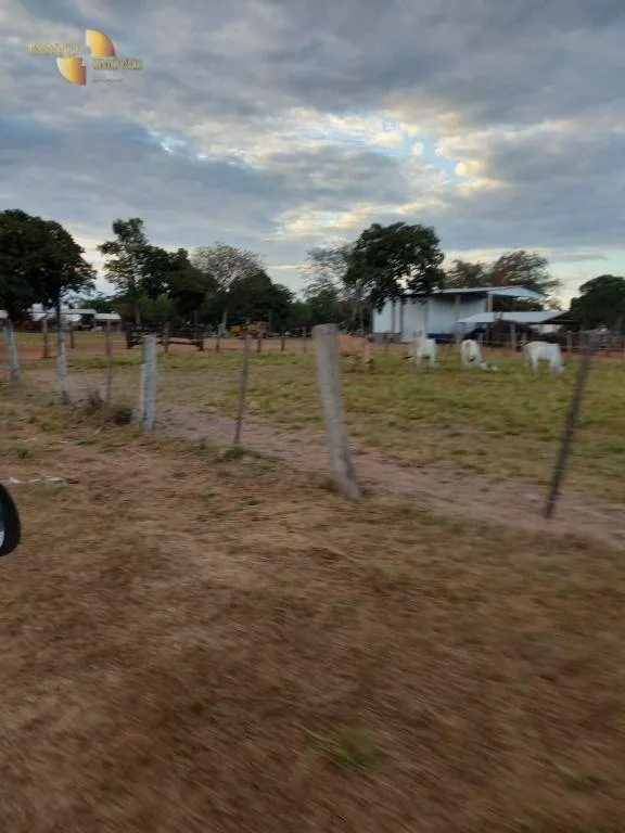 Fazenda à venda de 3.498 ha em Barra do Bugres, MT, Brasil