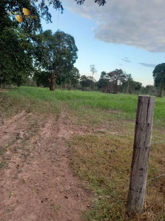 Fazenda à venda de 3.498 ha em Barra do Bugres, MT, Brasil