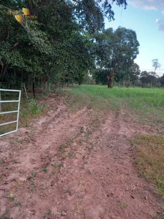 Fazenda à venda de 3.498 ha em Barra do Bugres, MT, Brasil