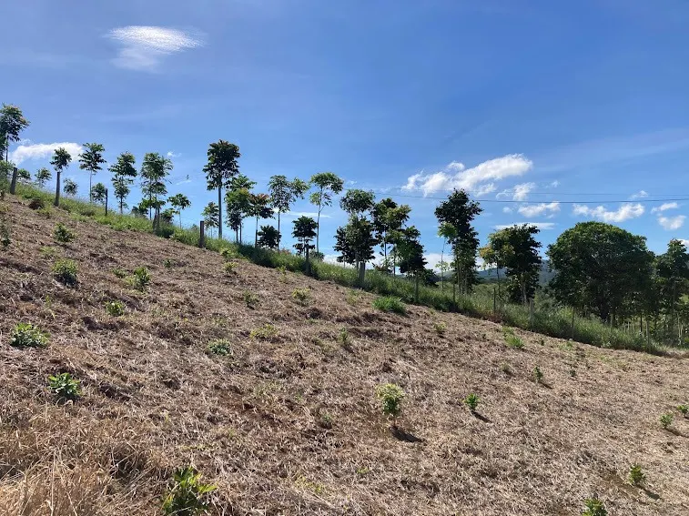 Small farm for sale of 5 acres in Natividade da Serra, SP, Brazil
