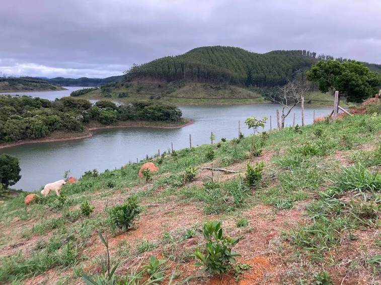 Small farm for sale of 5 acres in Natividade da Serra, SP, Brazil