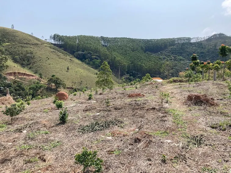 Small farm for sale of 5 acres in Natividade da Serra, SP, Brazil