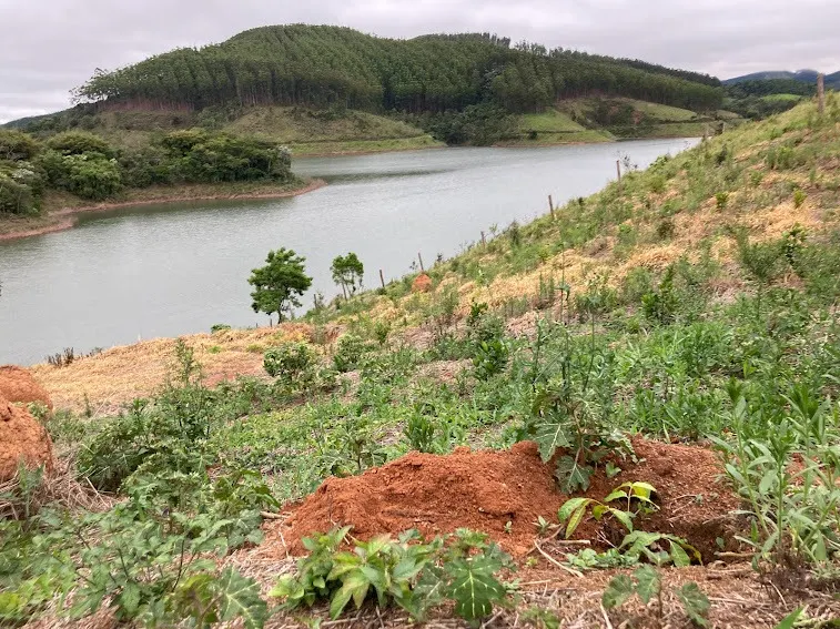 Small farm for sale of 5 acres in Natividade da Serra, SP, Brazil