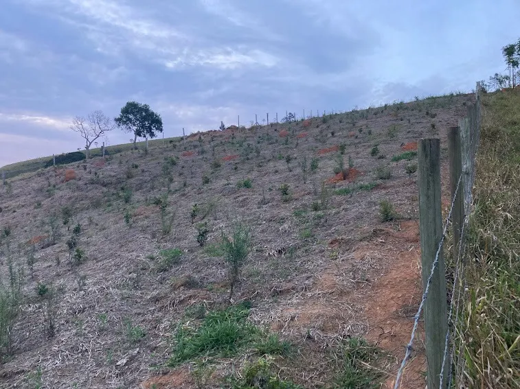Small farm for sale of 5 acres in Natividade da Serra, SP, Brazil