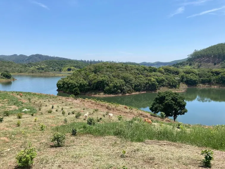 Small farm for sale of 5 acres in Natividade da Serra, SP, Brazil