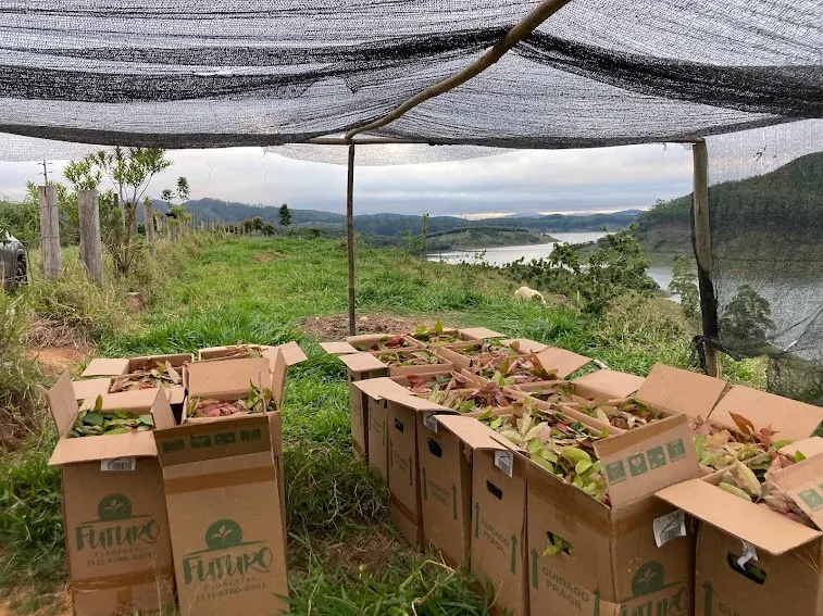 Small farm for sale of 5 acres in Natividade da Serra, SP, Brazil