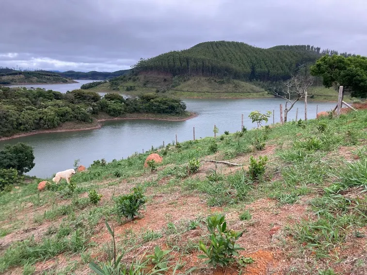 Small farm for sale of 5 acres in Natividade da Serra, SP, Brazil